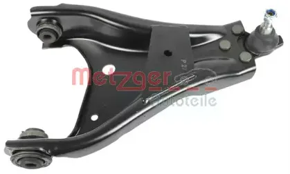 metzger-58076802